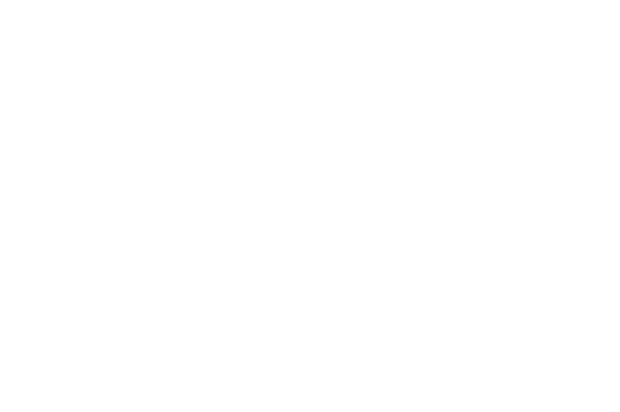 ARC LINK